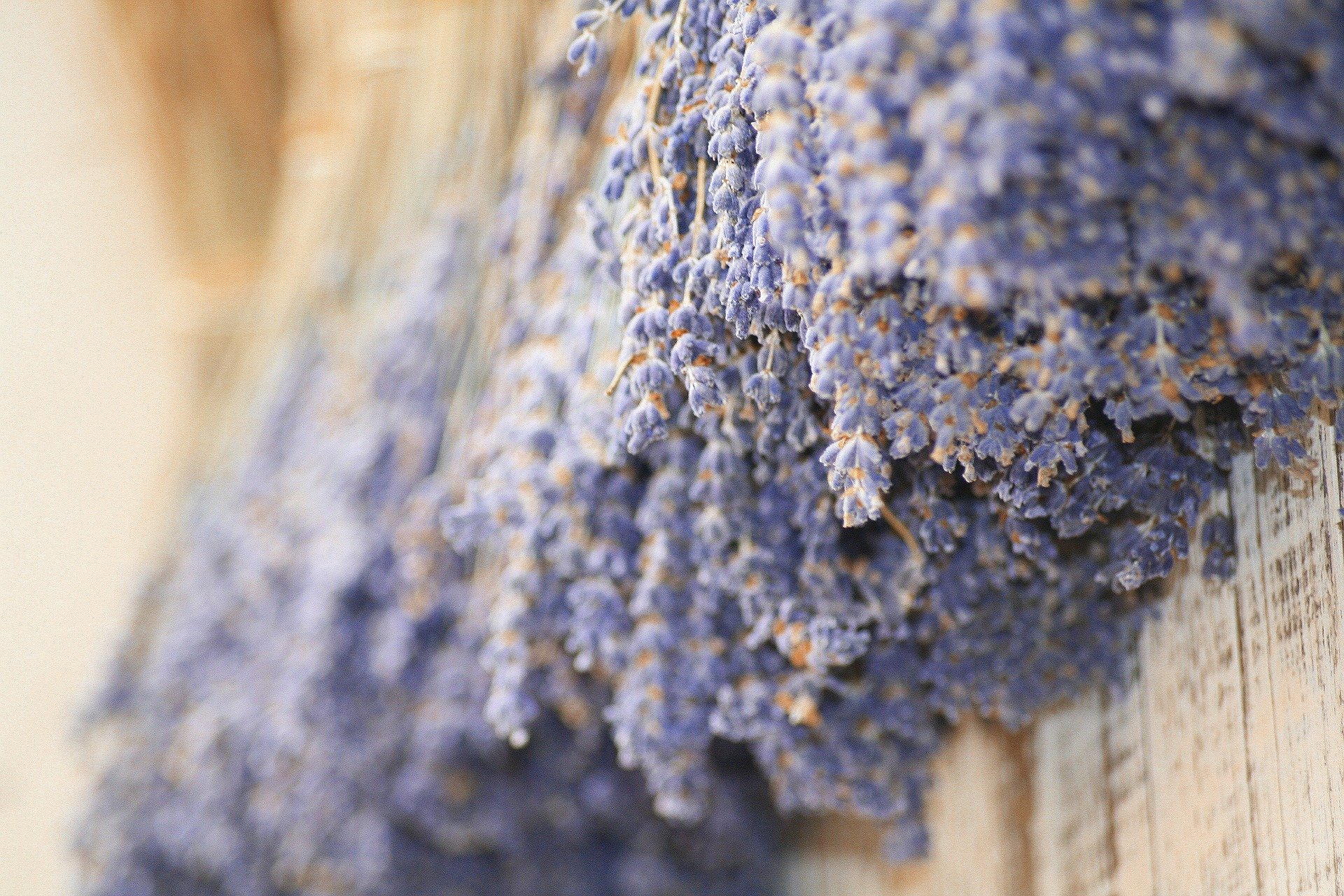 Duftkerze Soja Lavendel Beige Blau Kerze aus Bio Sojawachs vegan ätherisches Lavendel Öl Geschenk Aromatherapie