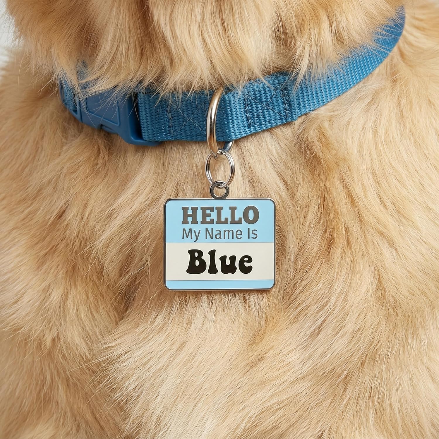 Bad Tags Personalized Dog and Cat Name Tags - Custom Engraved on Both Sides - Funny Cute Dog Tags Personalized for Pets (Hello My Name is Badge - Blue, Small (1 inch))