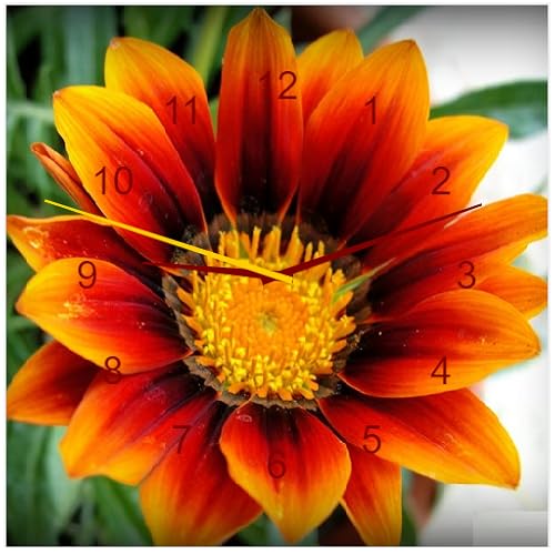 App_Clock_41 - //medicalbooks.filipinodoctors.org