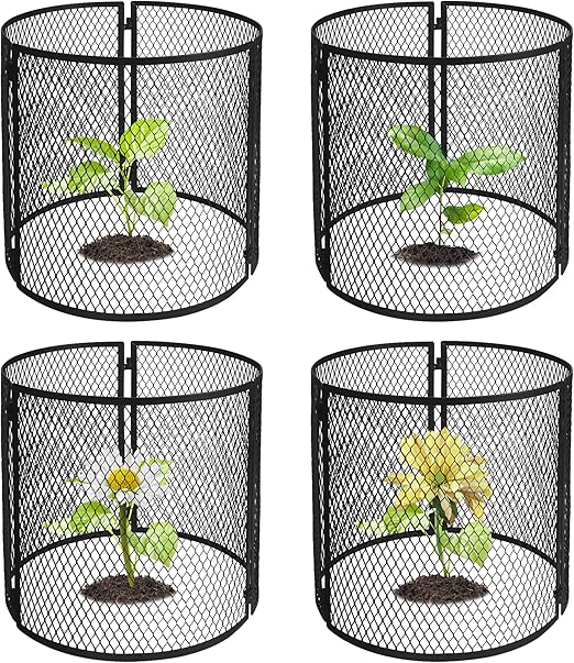 4 Pack Metal Plant Cage Protectors from Animals-11.8 x 11.8 Inch Garden Plant Protector - Sturdy Bunny Barricades Chicken Wire Cloche Plant Protectors for Keeping Bunny Animals Out