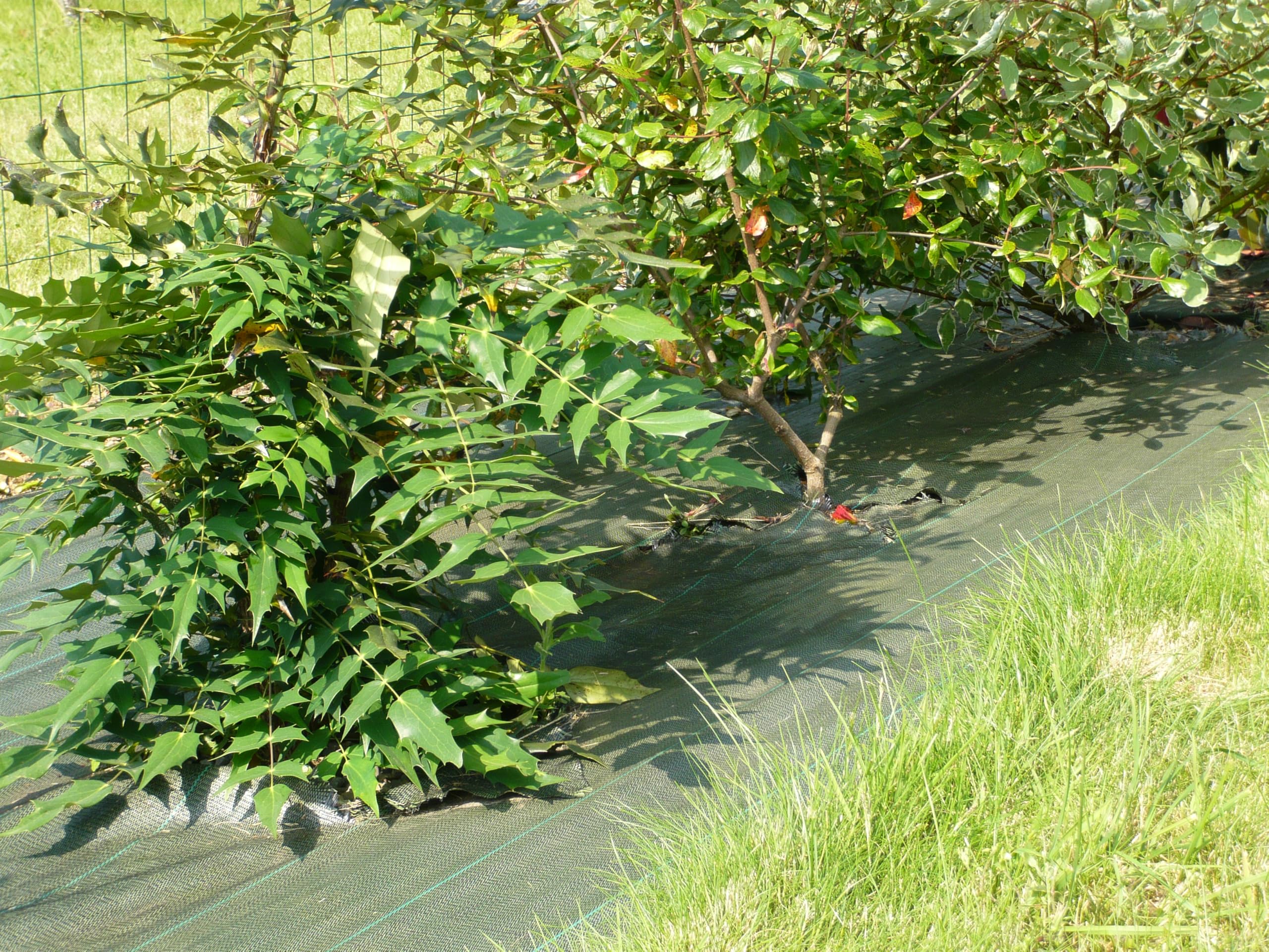 Vilmorin VB01013 Tela pacciamatura Tessuto in Polipropilene Verde 1,05 x 20 m Standard di qualità