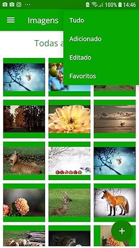 Album Desenvolver