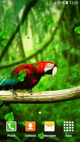 Parrot Live Wallpapers