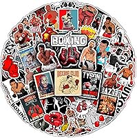 Vista 15 de BulbaCraft 100 piezas de pegatinas de cantantes country - Mercancía de música country, pegatinas impermeables de música para fundas de teléfono