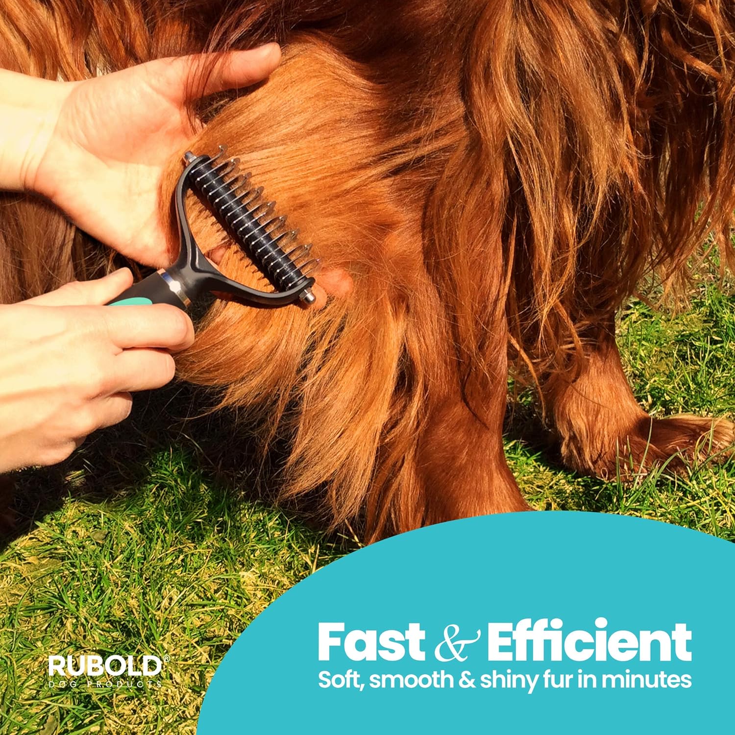 dog brush to remove undercoat