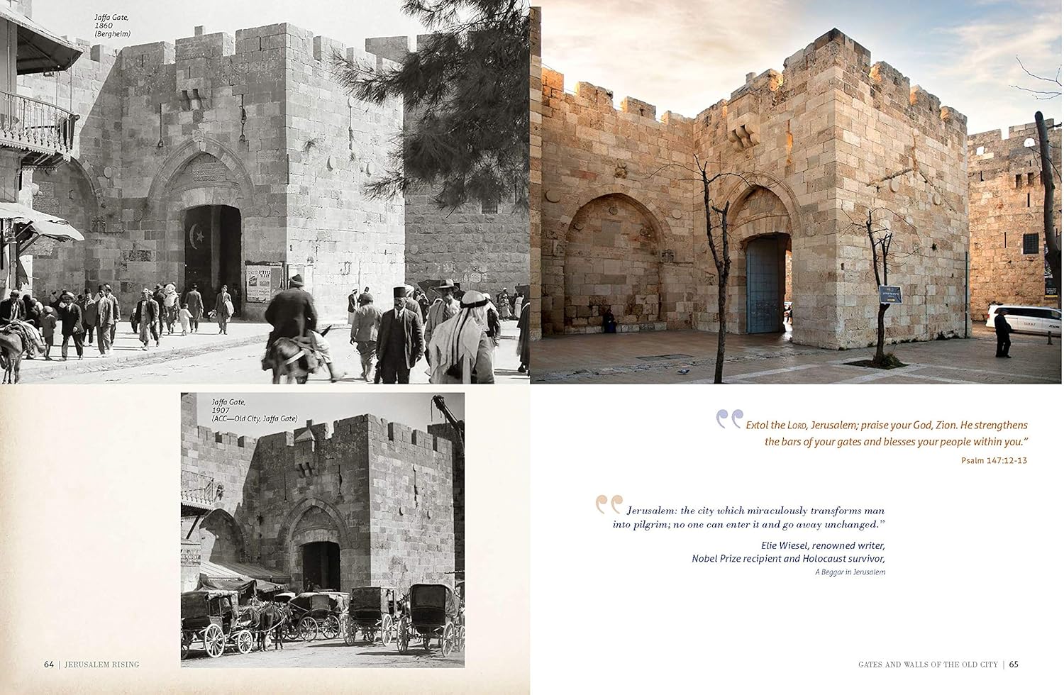 Jerusalem Rising: The City of Peace Reawakens (Ancient Prophecy / Modern Lens)      Hardcover – September 1, 2021