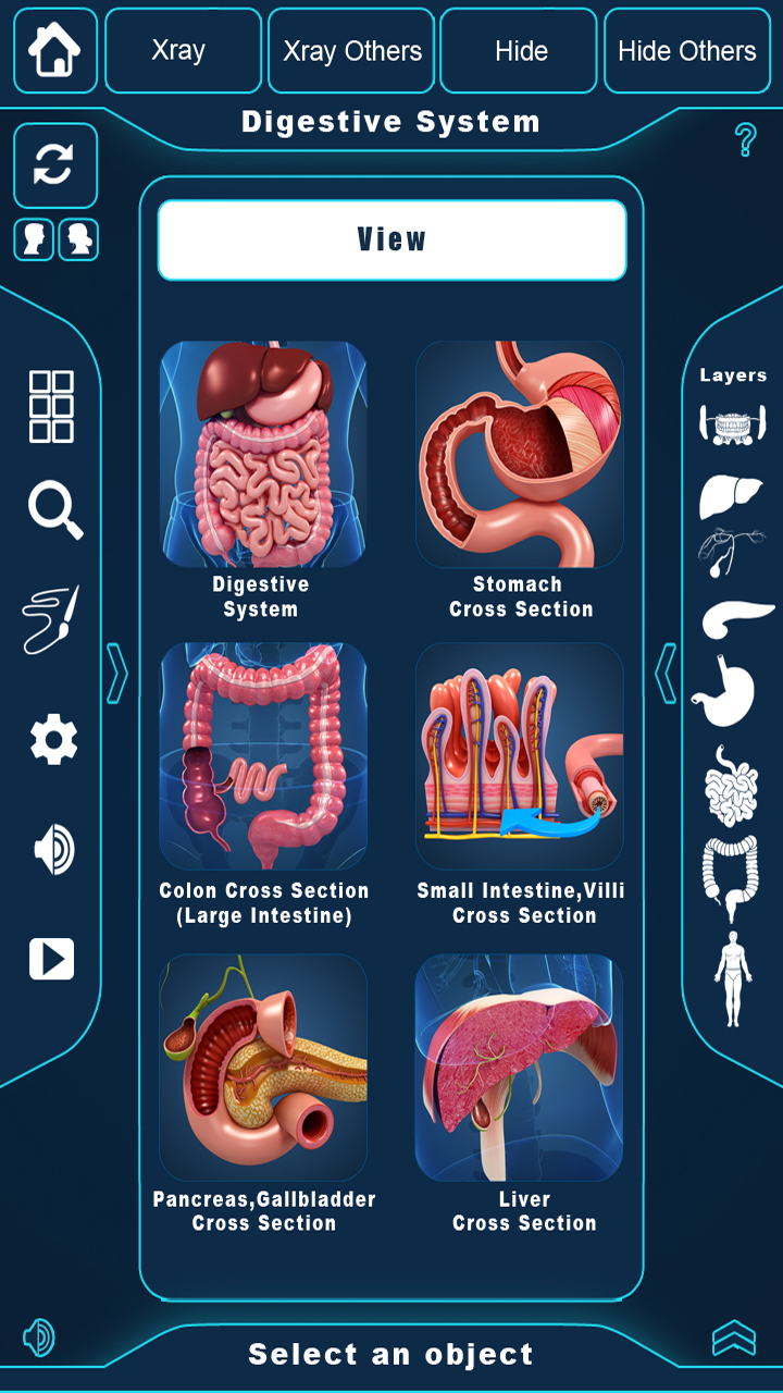 Digestive System for Android