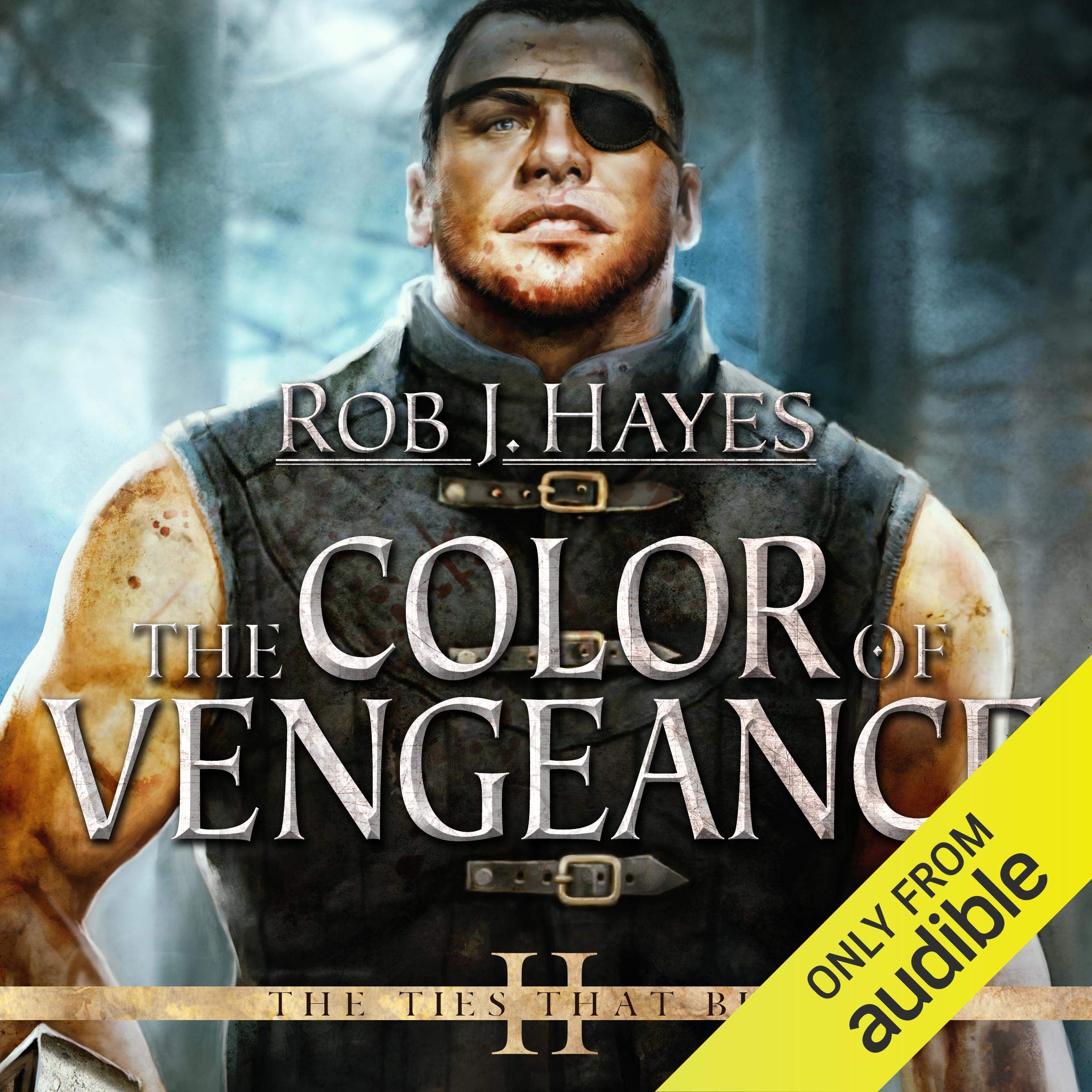 Cover art for The Color of Vengeance