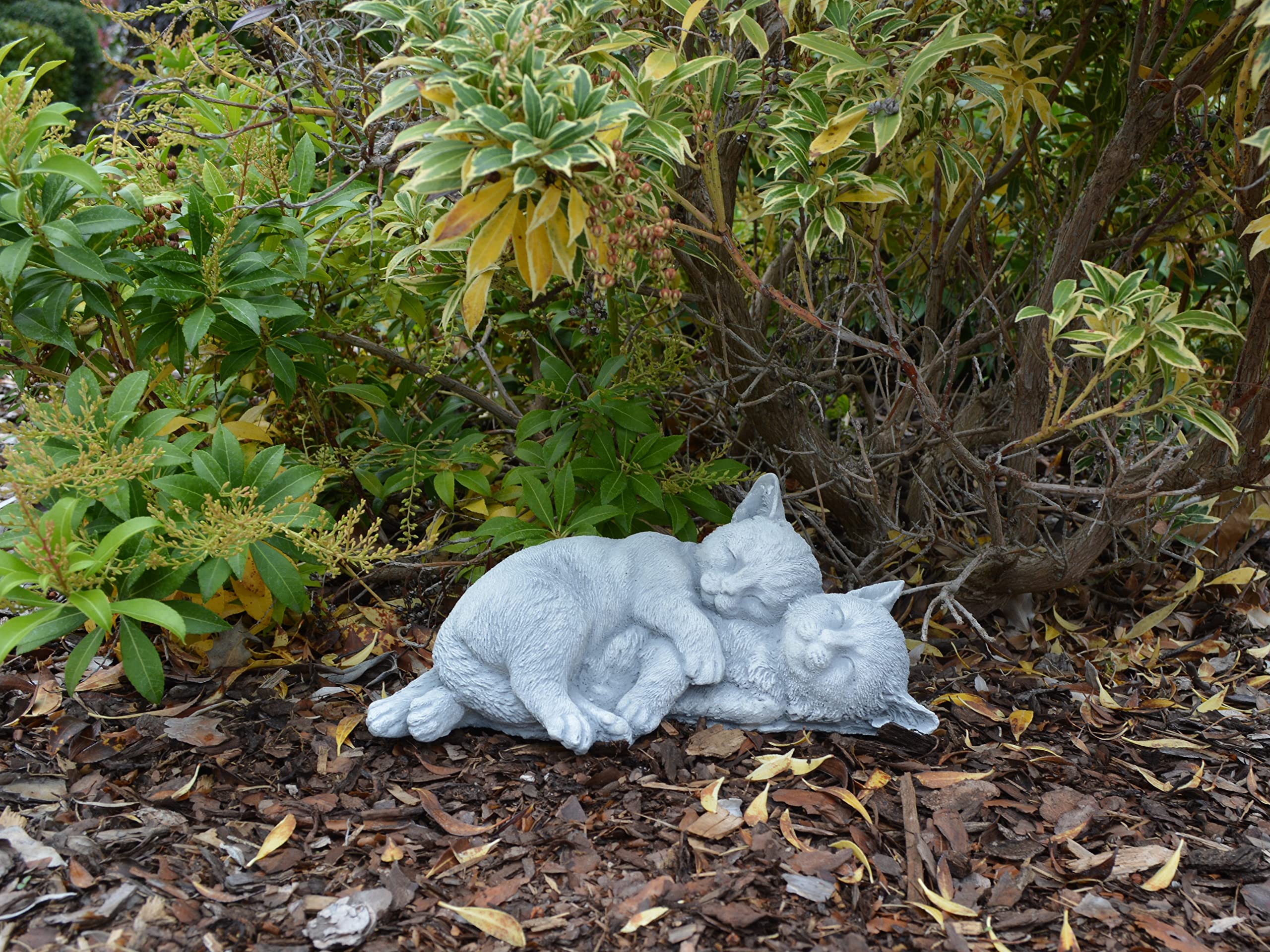Tegen katten in de tuin - Tuindecoratie kopen? | Korting tot 34
