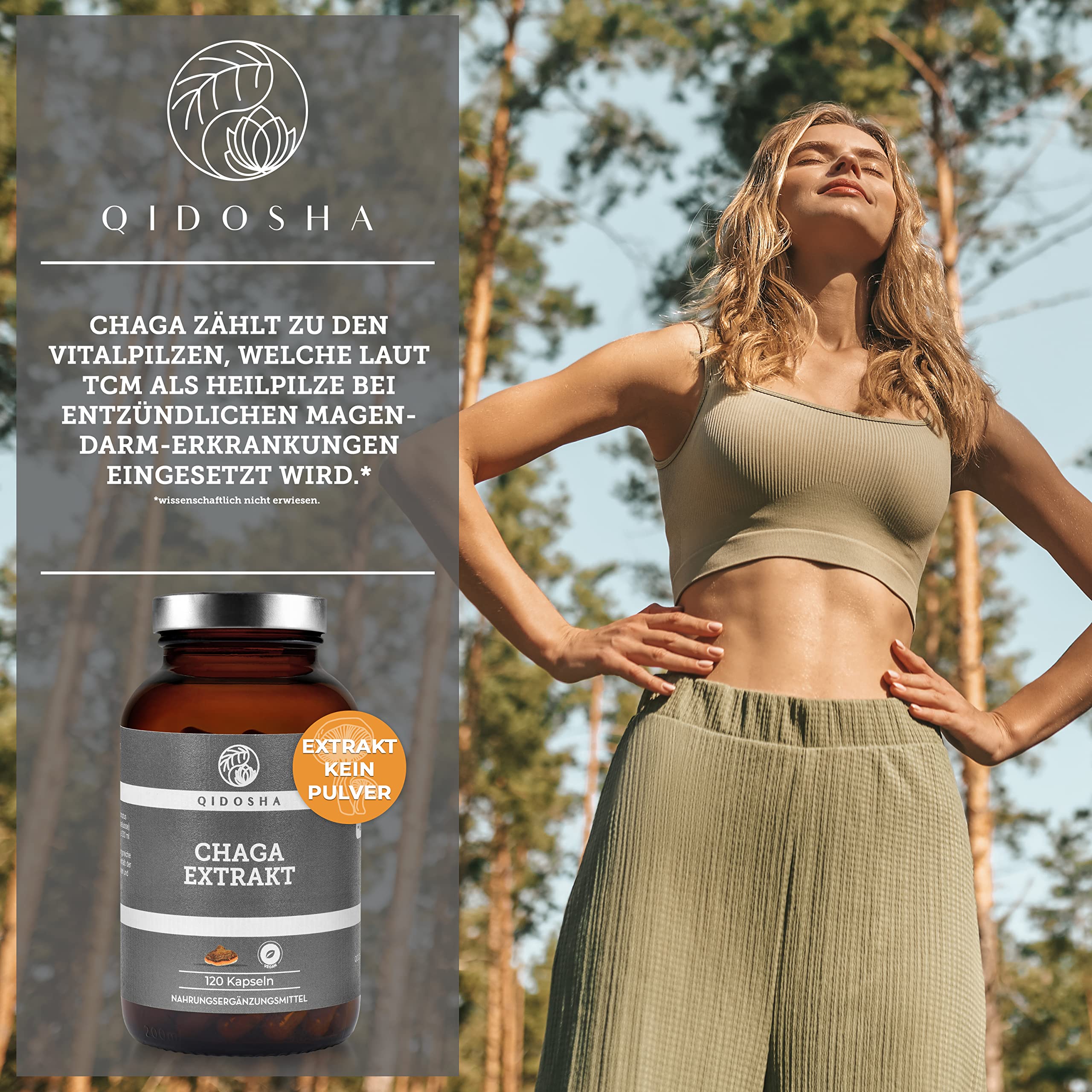 QIDOSHA® Chaga Extrakt Kapseln hochdosiert, 120 Stk im Glas (kein Plastik), 1000 mg Schiefer Schillerporling Extrakt pro Tagesdosis, Chaga Pilz Kapseln hochdosiert, aus Wildsammlung von Birken