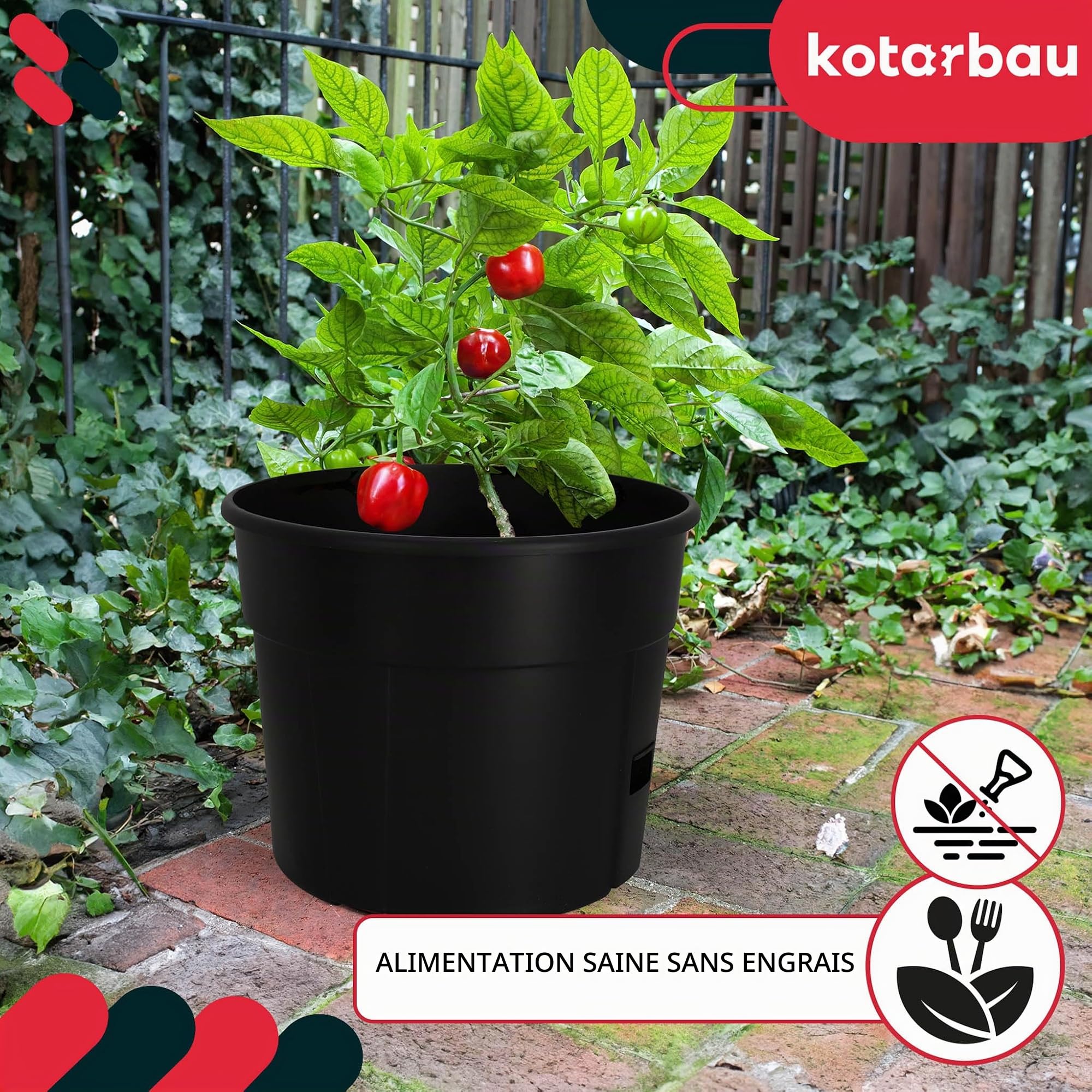 KOTARBAU® Support pour tomates grimpantes - Pots pour semis - Diamètre 35 cm H 128 cm - Pot pour plantes, noir, lot de 2