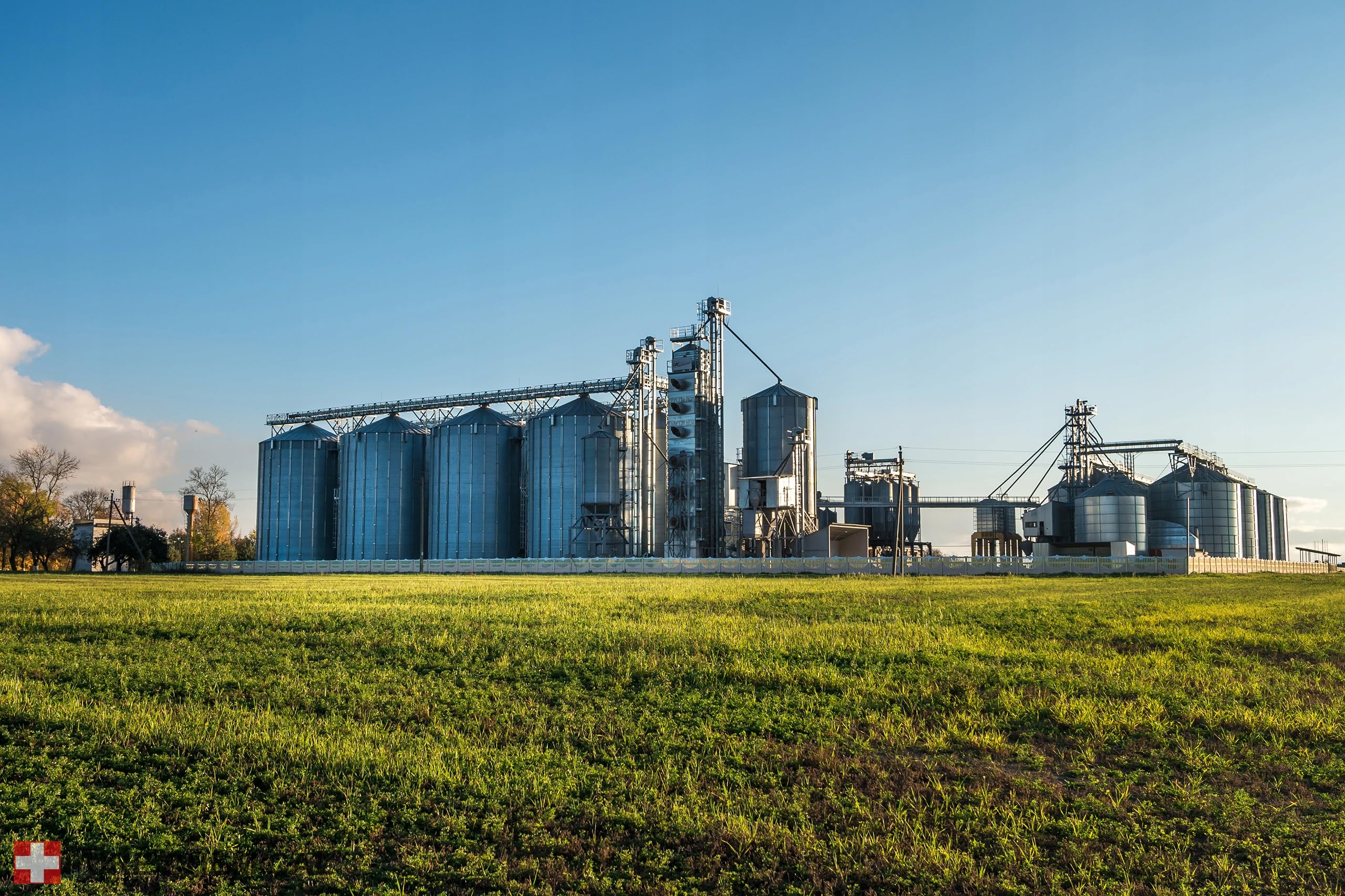 Biopaliwo Do Kominka Bio Paliwo Bio Etanol Bez Sadzy Dymu Atest Pzh 5L