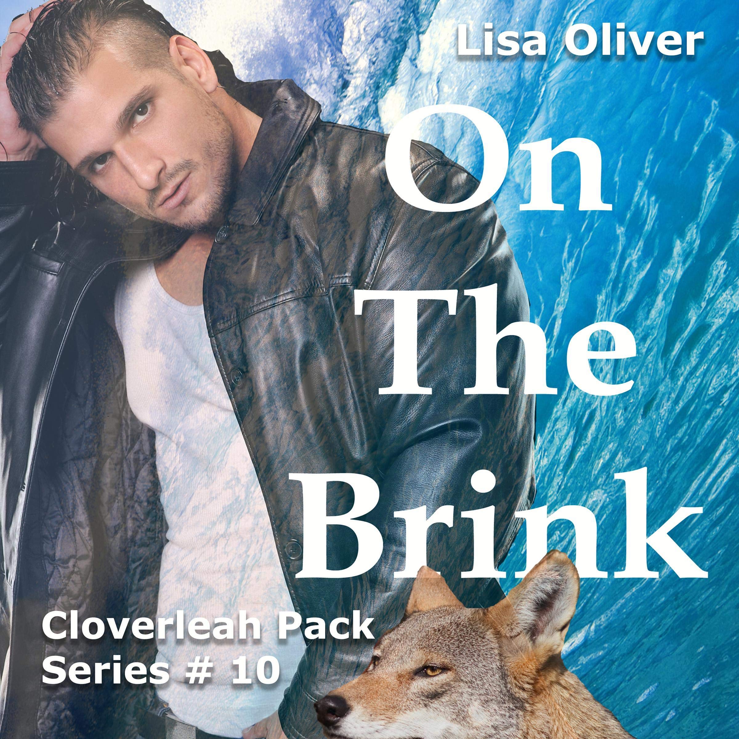 Cover art for On the Brink