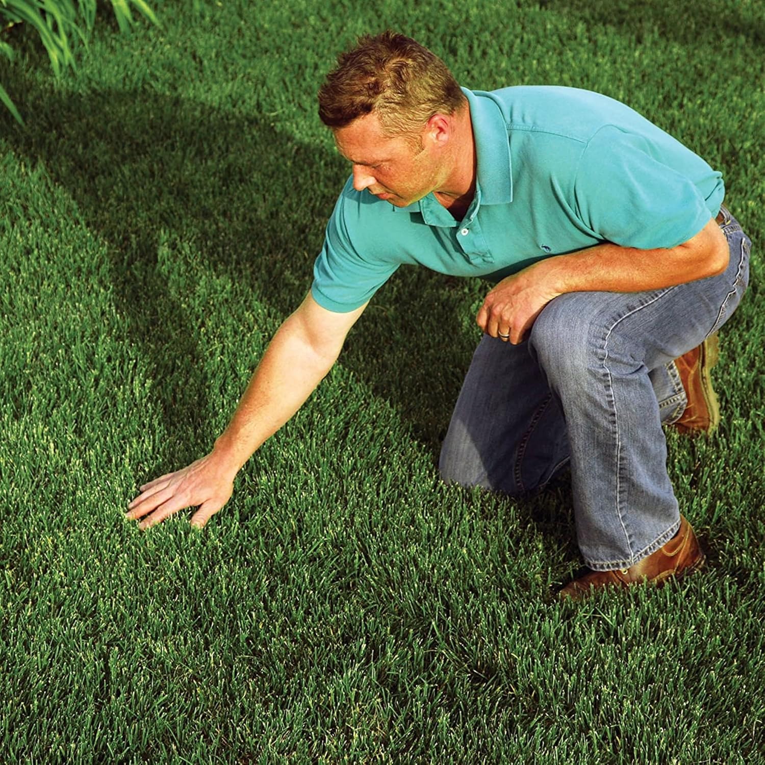 EZ-Straw Seeding Mulch with Tack - Biodegradable Processed Straw, 2.5 cu. ft. Bale (Covers up to 600 sq. ft.), 2 Pack