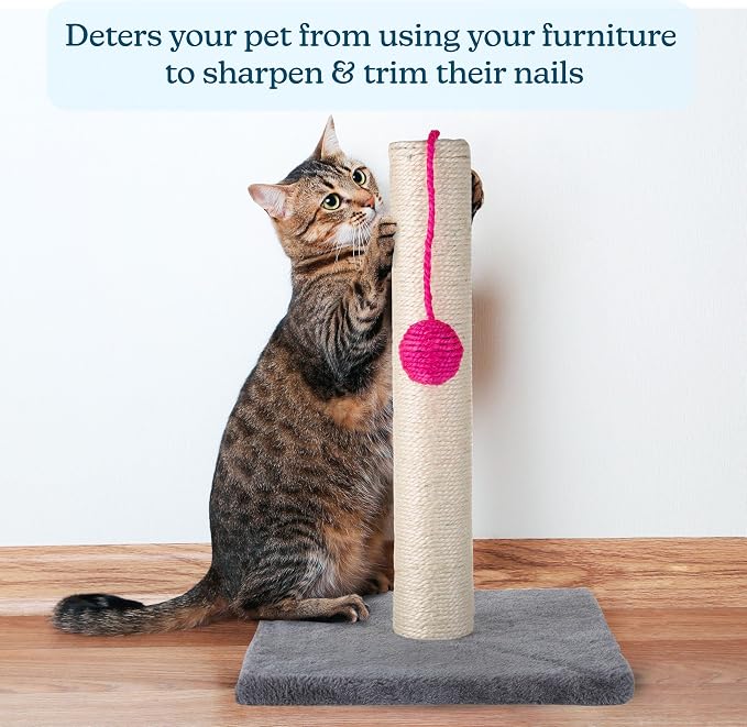 Rascador para Gatos de 17 Pulgadas - Sisal y Alfombra con Juguete en Bola Rosa Brillante miniatura 4