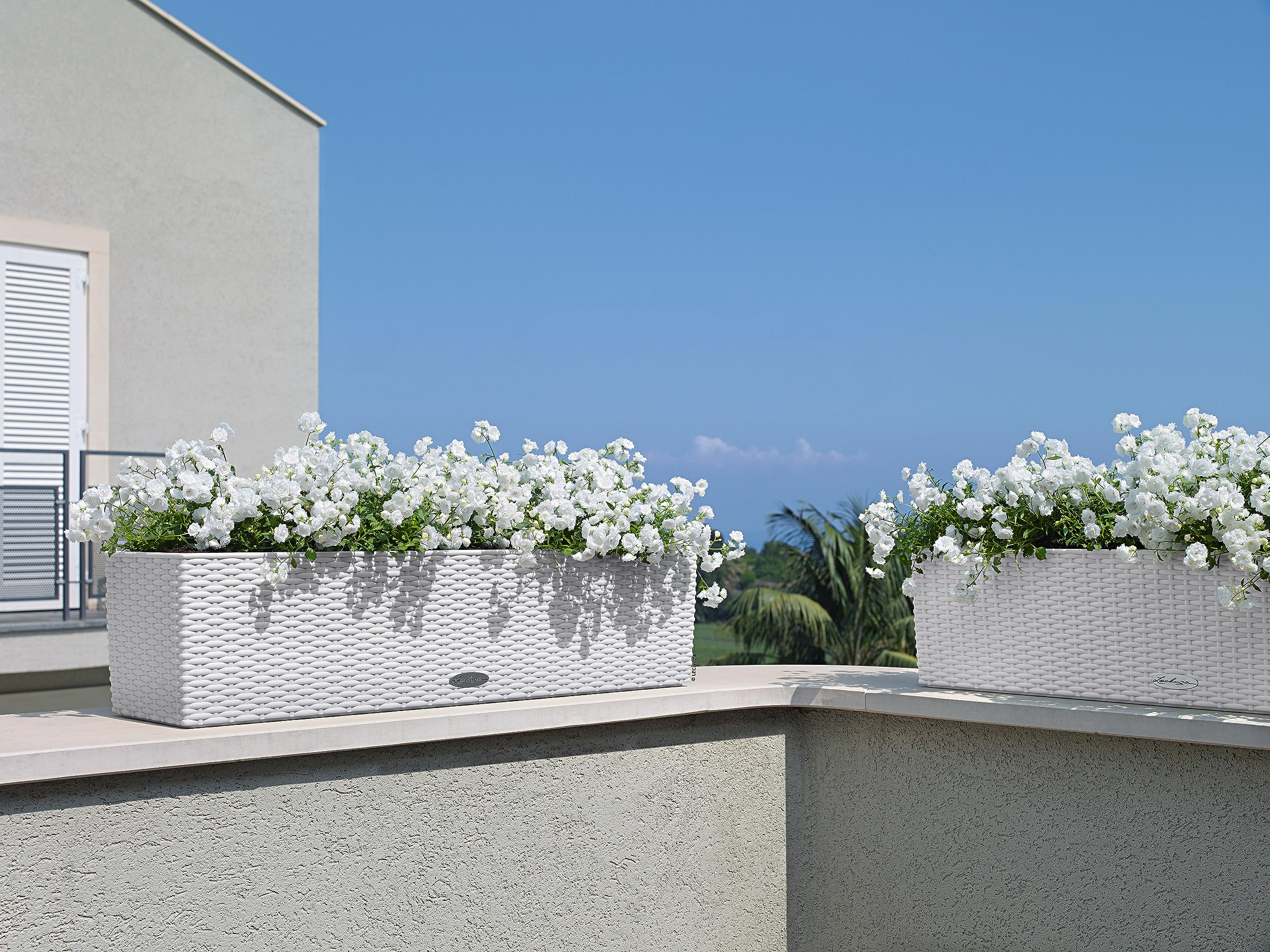 LECHUZA BALCONERA Cottage 80 bianco 15610