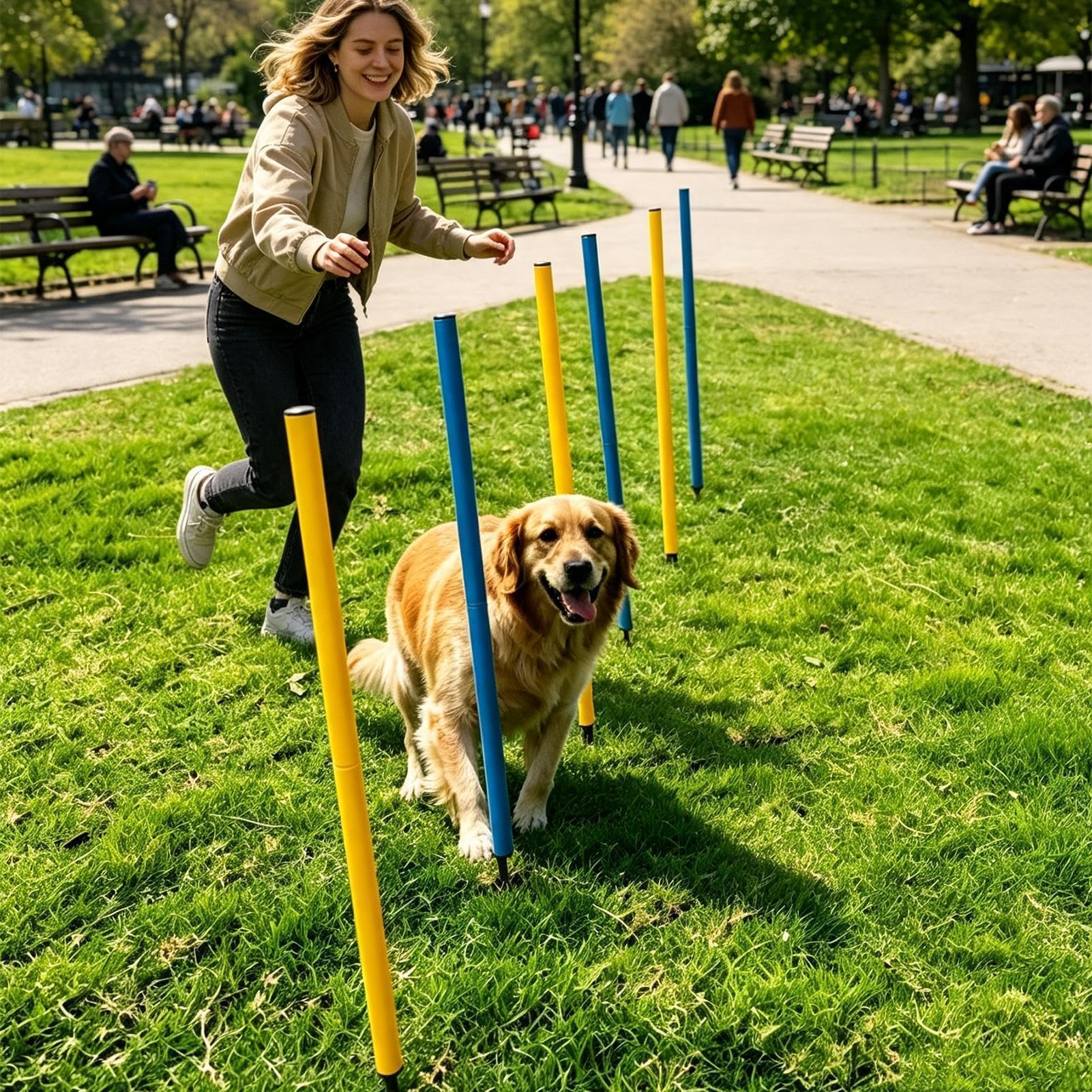 Agility-Slalomstangen für Hunde 6 Stück verstellbare Slalomstangen mit