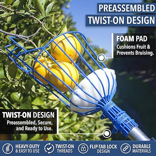 Miniatura 4 de EVERSPROUT Recolector de frutas de 24 pies (alcance de más de 30 pies)  Diseño telescópico de fácil fijación en la cesta  Poste de extensión de