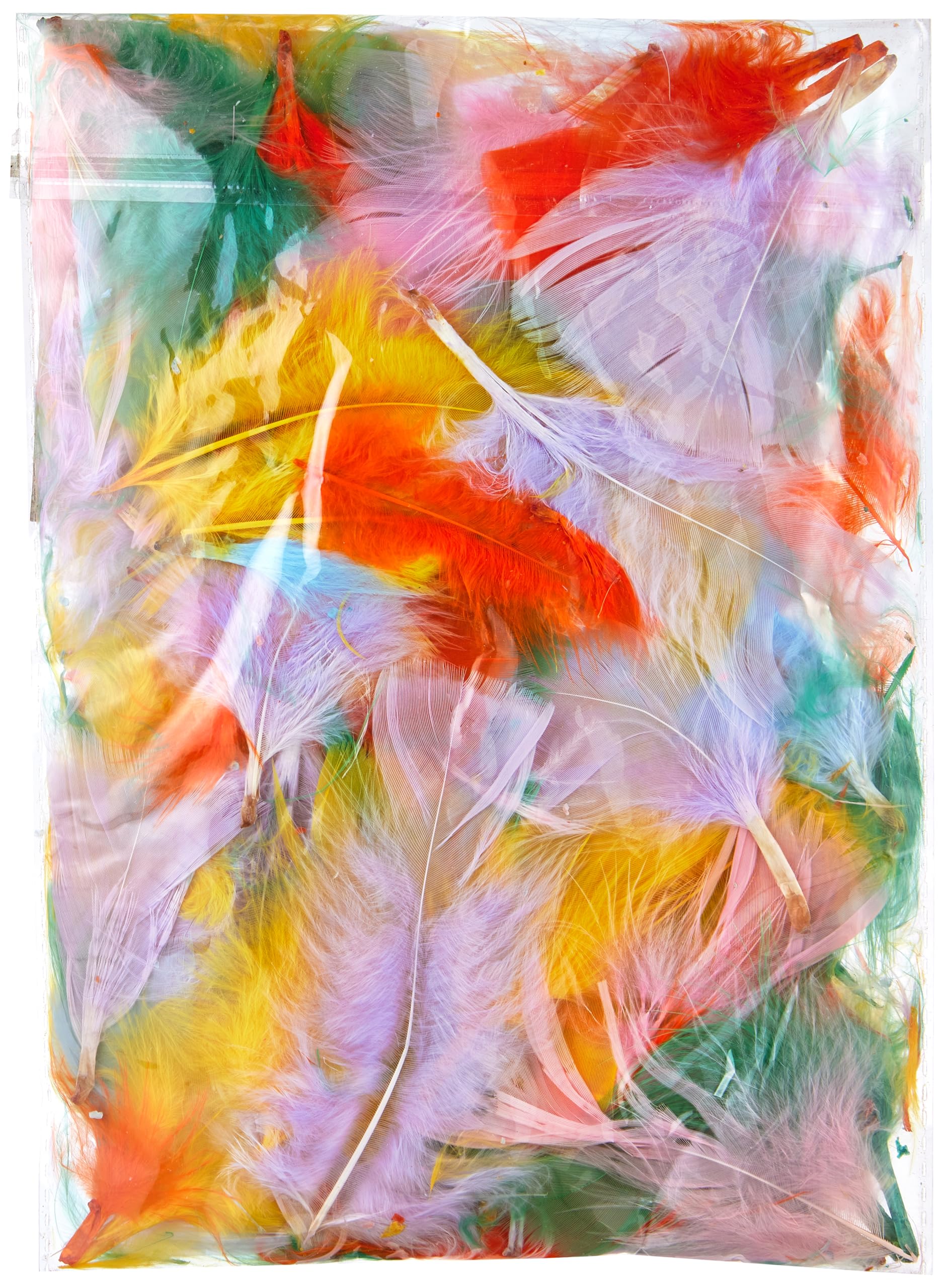 hemaColourful Feathers 100 Pack Multicolor