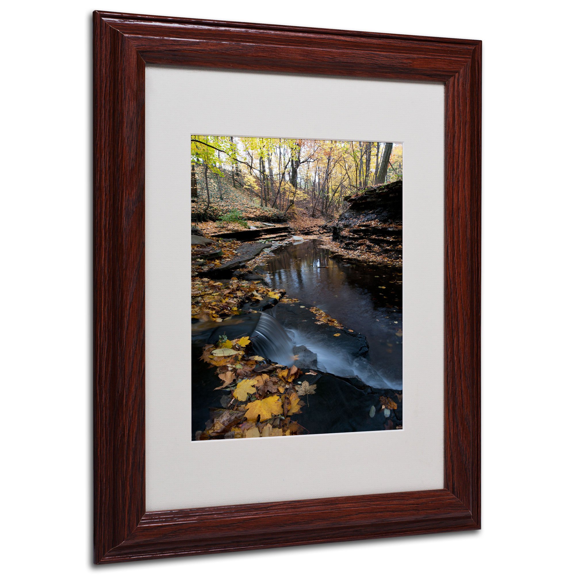 Autumn Stream by Kurt Shaffer, Wood Frame 11x14-Inch