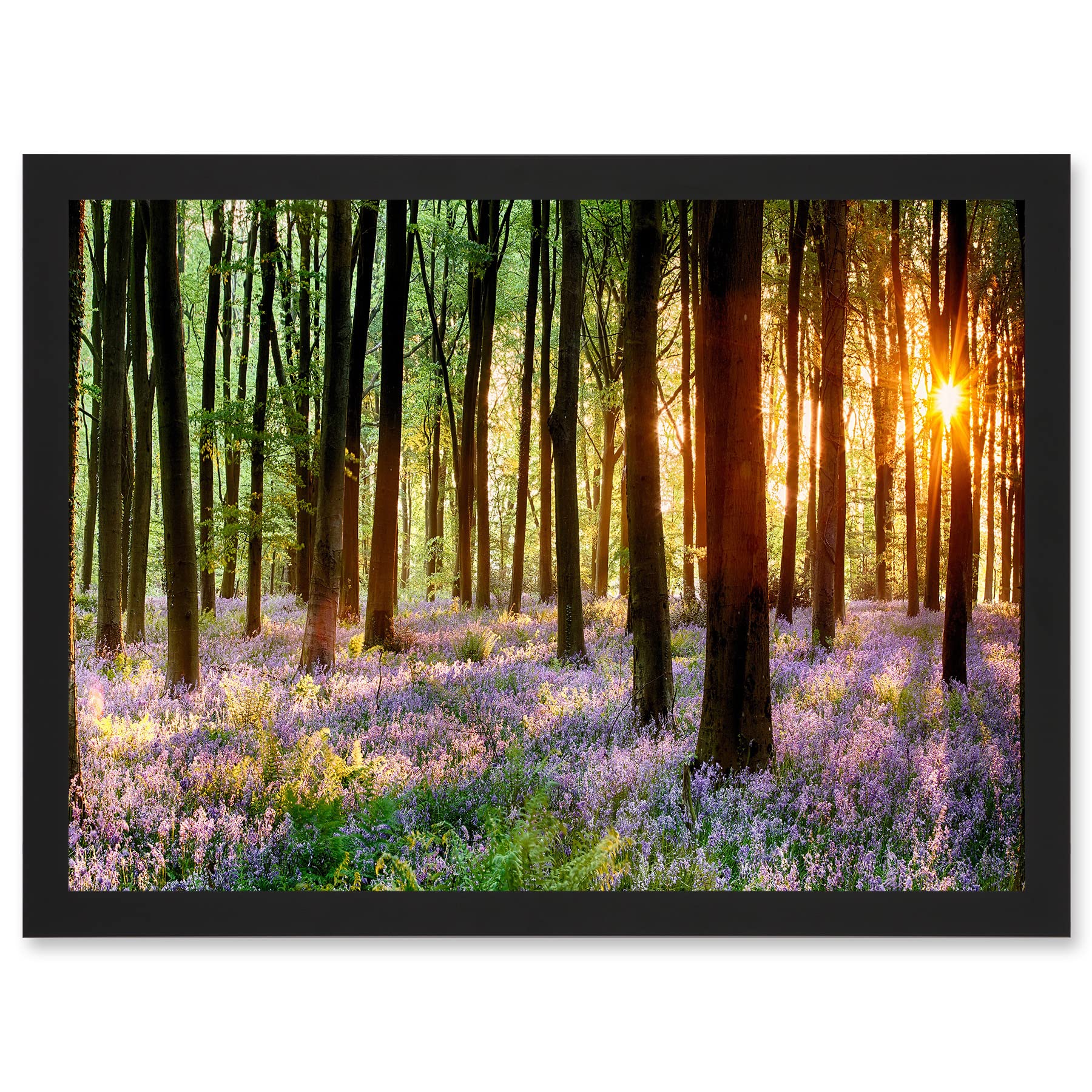 Artery8 Bluebell Wood Sunrise Trees Framed Wall Art Print - A4 - Wood Frame