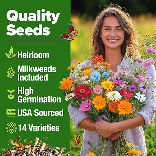 Miniatura 140 de HOME GROWN Semillas de girasol para plantar Más de 520 semillas de girasol de mamut gigante para plantar paquete a granel reliquia, alta