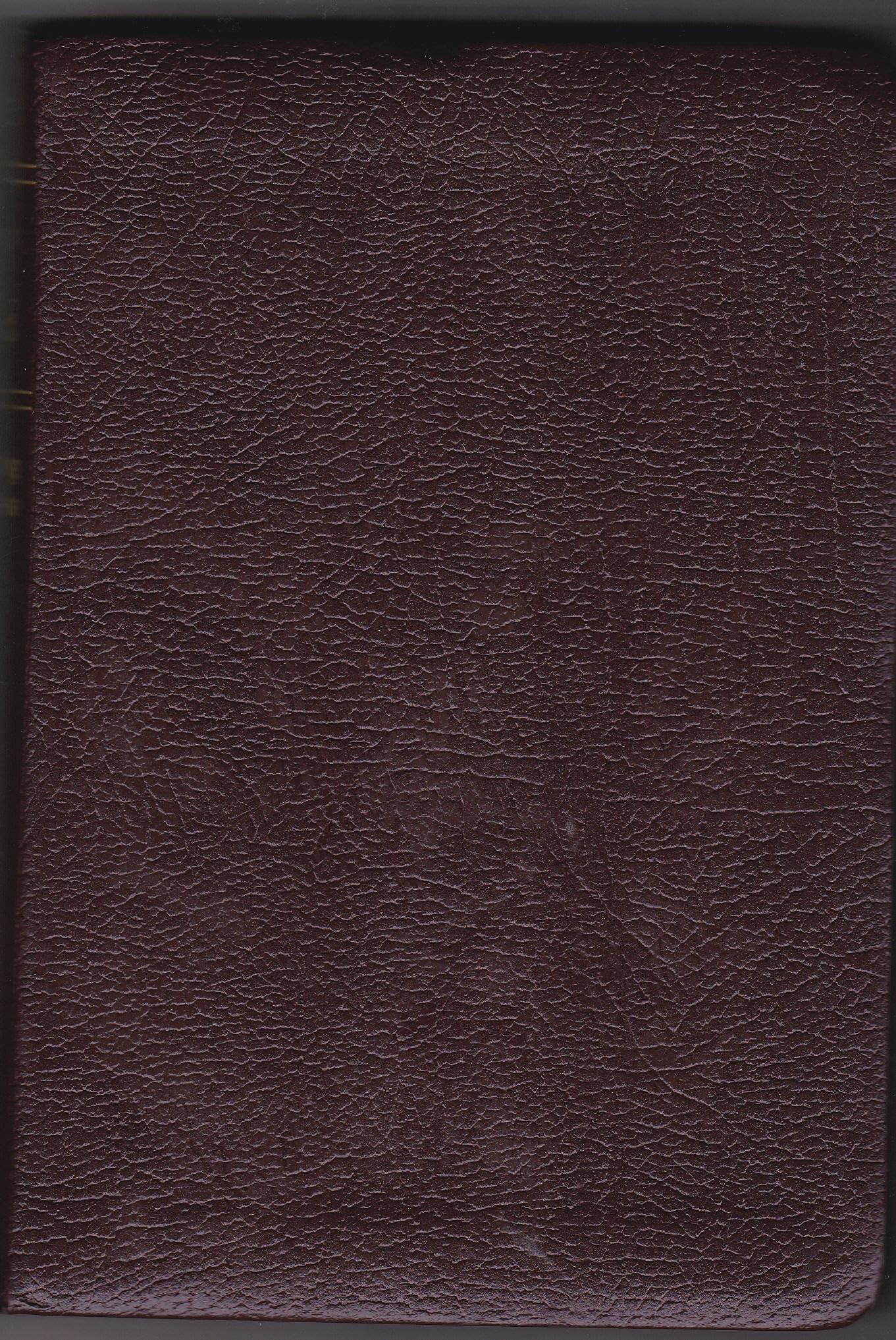 NLT Compact Gift Bible Bonded Leather Burgundy: New Living Translation, Burgundy, Bounded Leather Bonded Leather – 1 Oct. 2004