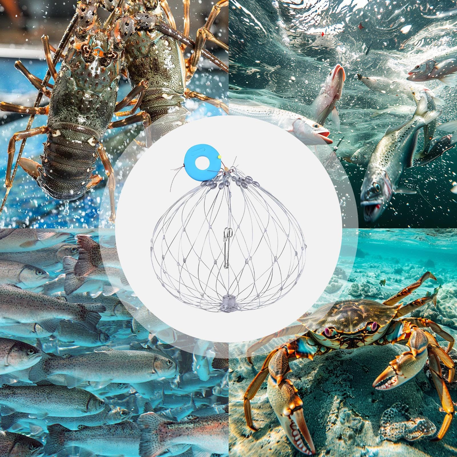 Jaula para Cangrejos - Jaula Cebadora para Trampas de Cangrejos de Alambre de Acero - Equipo de con Red para Camarones en Río Lago Agua Dulce y Salada Exterior