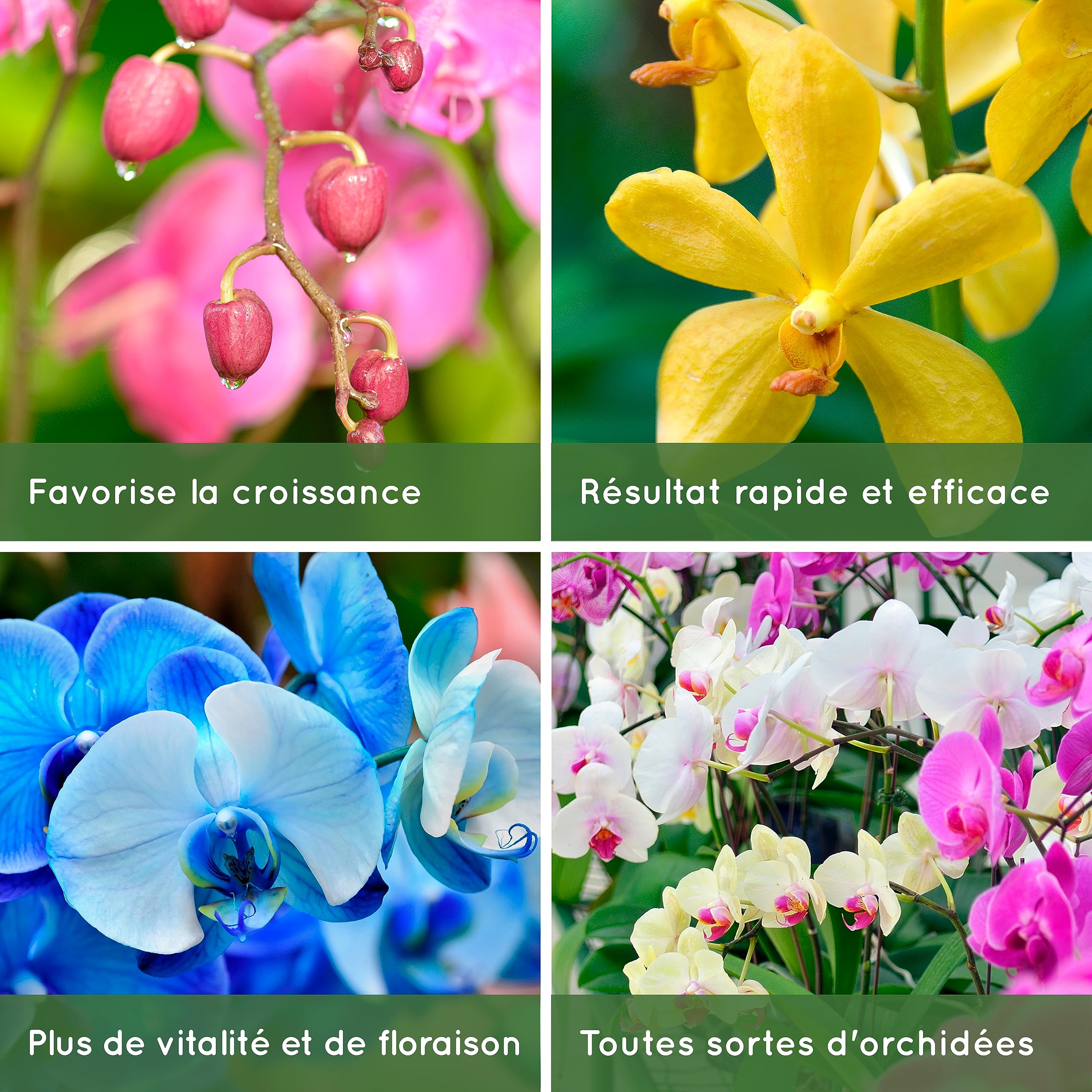 Engrais Bio pour Orchidées - Revitalisation et Floraison Prolongée - 100% Naturel - Fertilisant et Stimulateur de Croissance - Orchidées d'Intérieur et Extérieur – Spray Prêt à l'Emploi 250ml