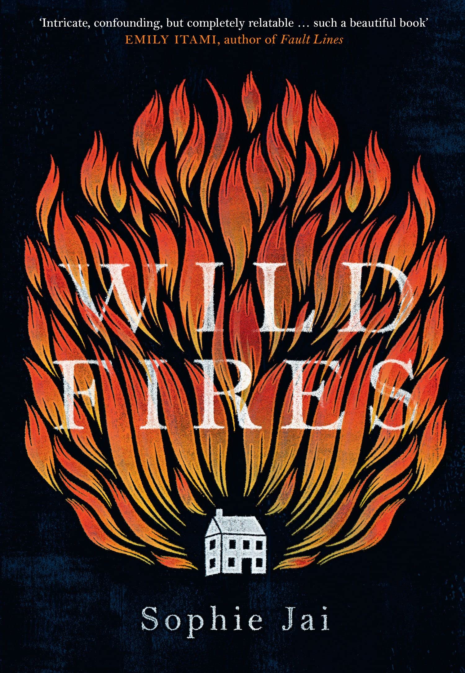 Buy Wild Fires: The most powerful and unmissable literary debut of 2022 — BookShops.in