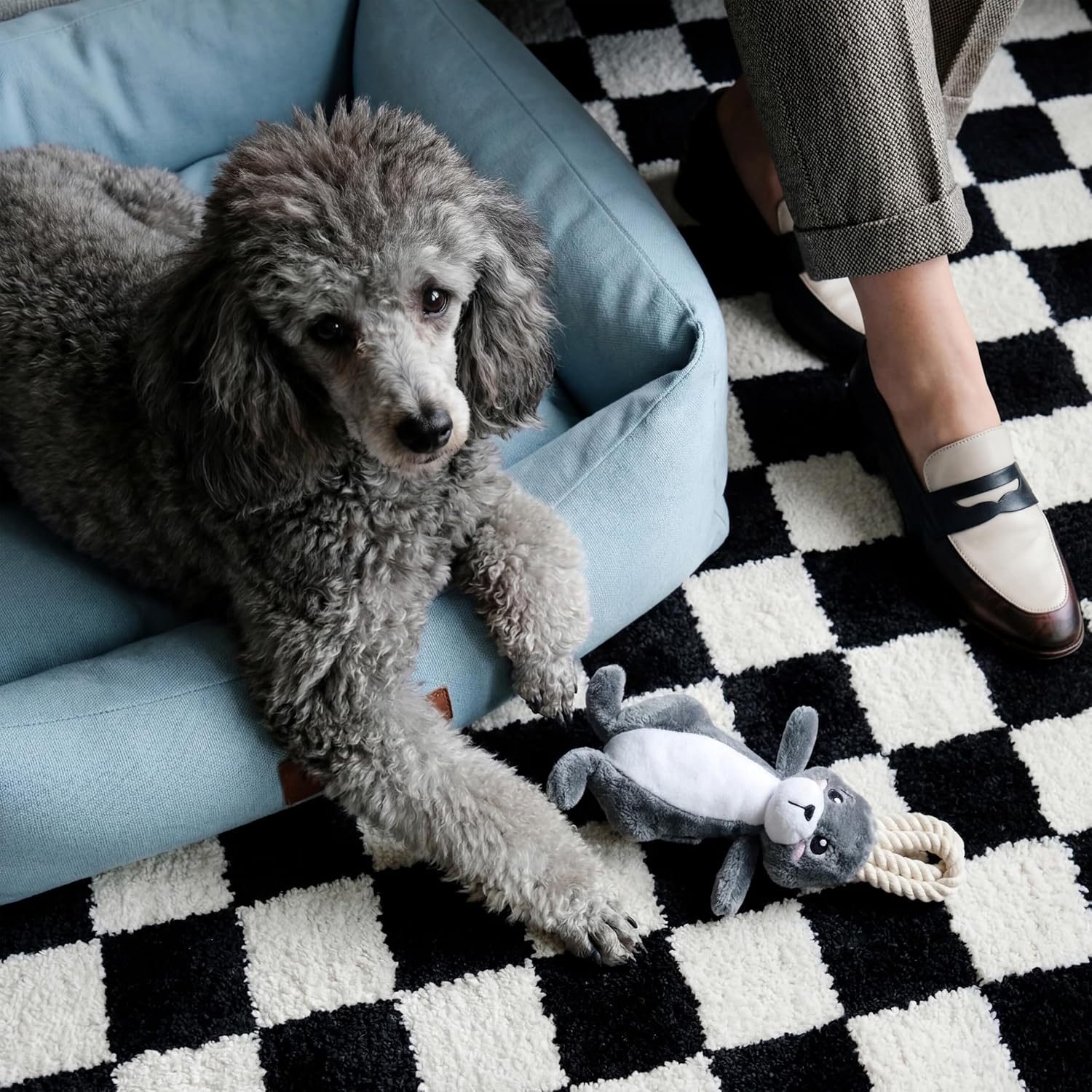 Premium Plush Dog Toy - Arctic Hare Plush Toy, Small Eco Friendly image 3