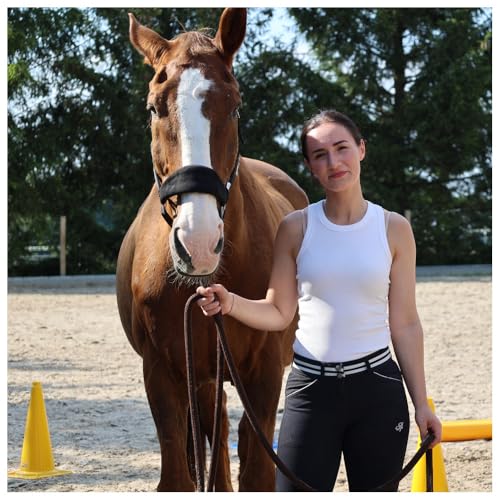 Dönges Tasche für Pylonen (Agility Bodenarbeit Hundesport Outdoortasche Reitsport Reittraining Markierungen) H x B x T: 80 x 30 x 30 cm, Lieferumfang eine Tasche ohne Pylonen