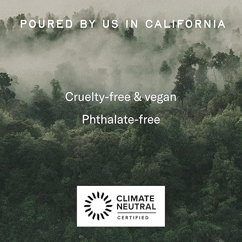 Miniatura 5 de P.F. Candle Co. Enoki Cedar Alchemy - Conos de incienso perfumados sumergidos a mano (recipiente de 30) 20 minutos de tiempo de combustión, a base