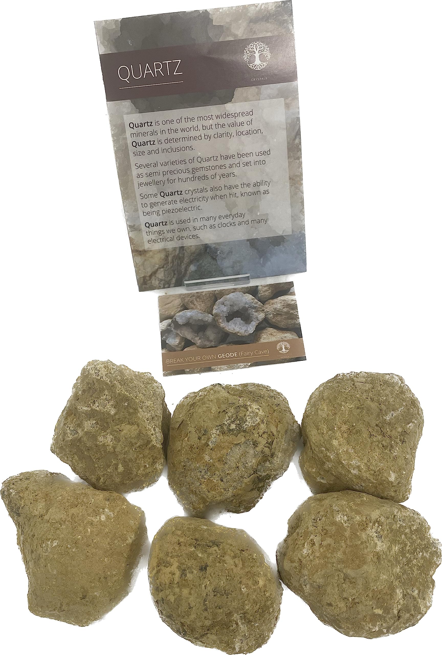 Break Your Own Geodes - Perfect for Science Discovery & Learning (6-8cm)