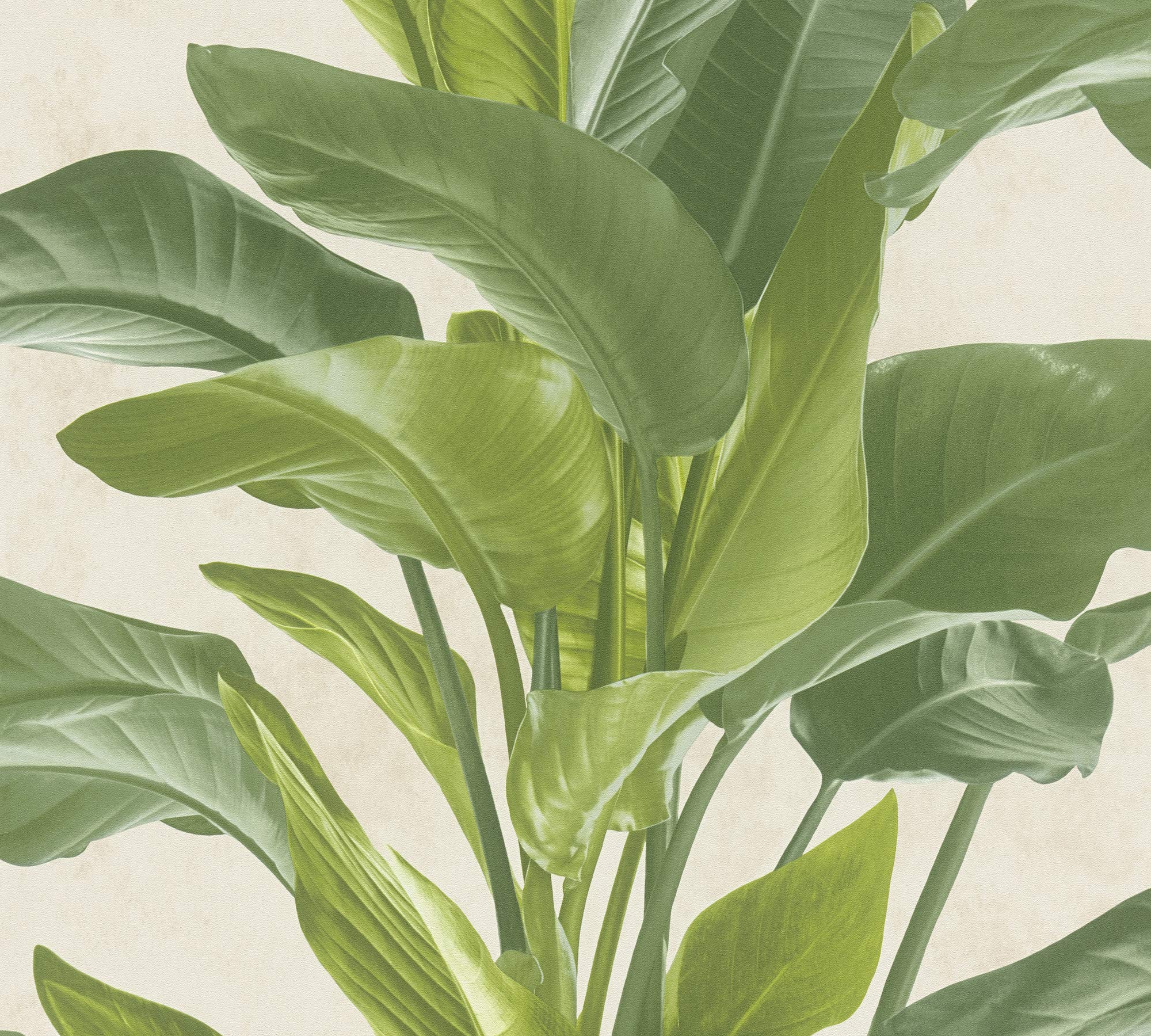 Livingwalls Floral Wallpaper Metropolitan Stories 2 A.S. Création Non-Woven 10.05 m x 0.53 m Creme Green Made in Germany 378623 37862-3 - Image 2