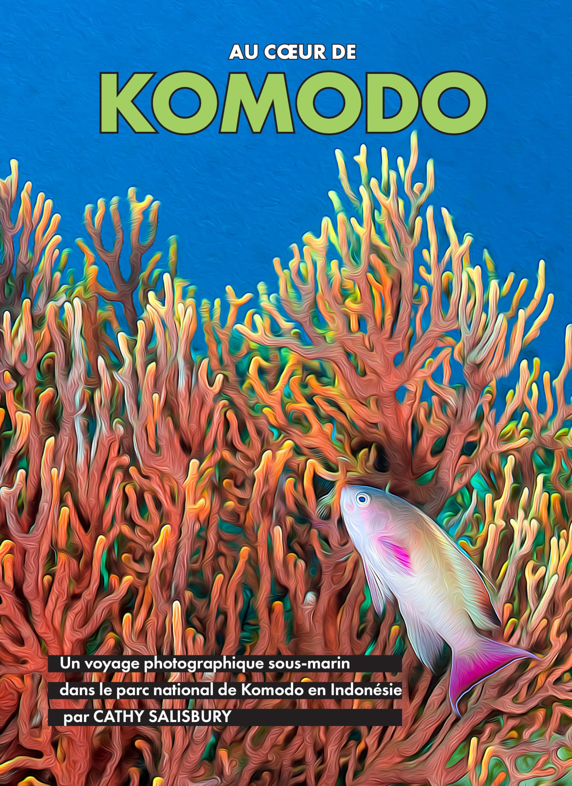 Komodo album de photos sous-marines pour sublimer votre salon