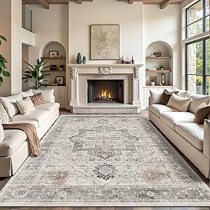 Rugland 6x9 Area Rugs - Stain Resistant Washable Rug, Anti Slip Rugs for Living Room, Vintage Tribal Area Rugs(Medallion 01-Taupe/Grey, 6'x9')