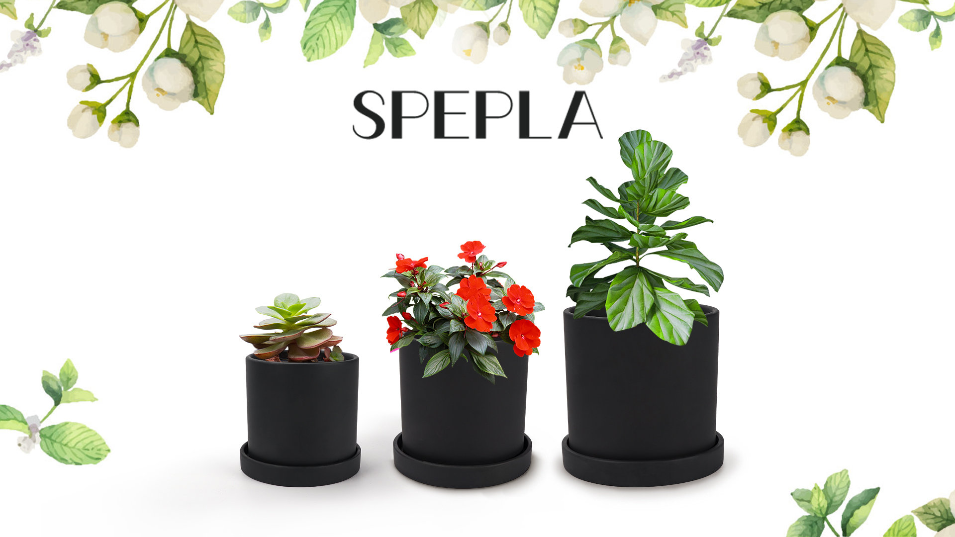 Amazon.com: SPEPLA Ceramic Plant Pots Set of 3, Cylinder Flower