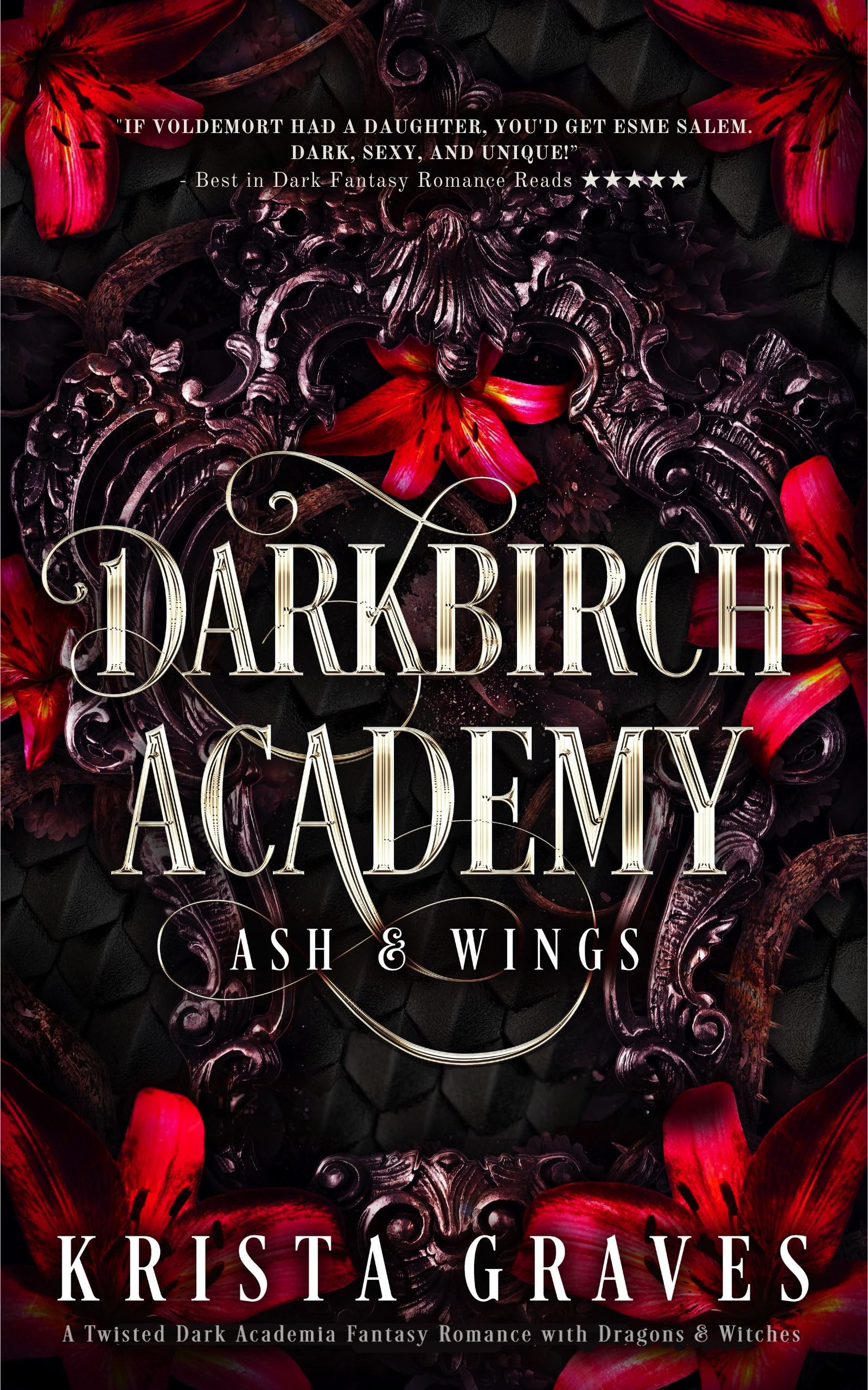 Darkbirch Academy: A Twisted Dark Academia Fantasy Romance with Dragons & Witches
