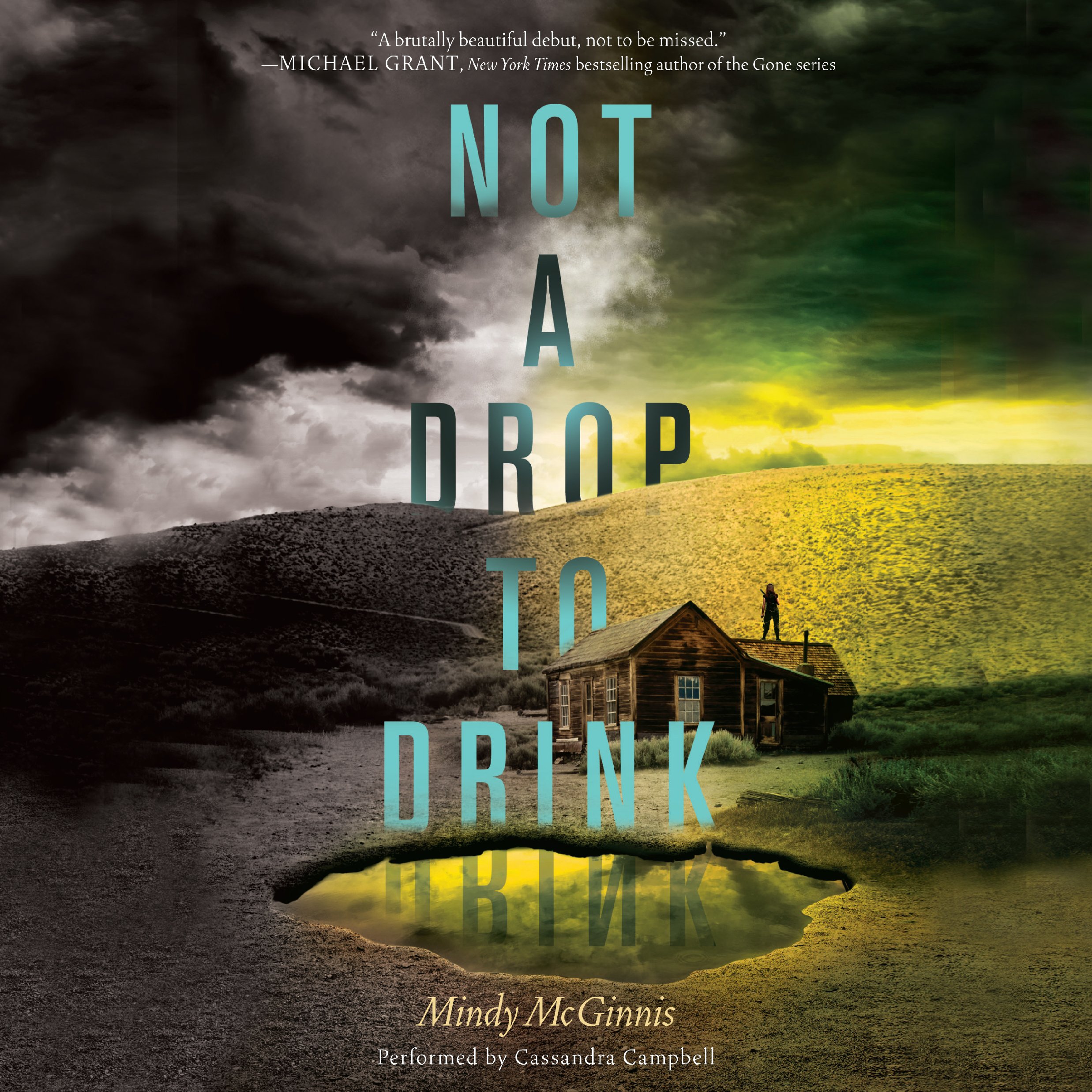 Cover art for Not a Drop to Drink