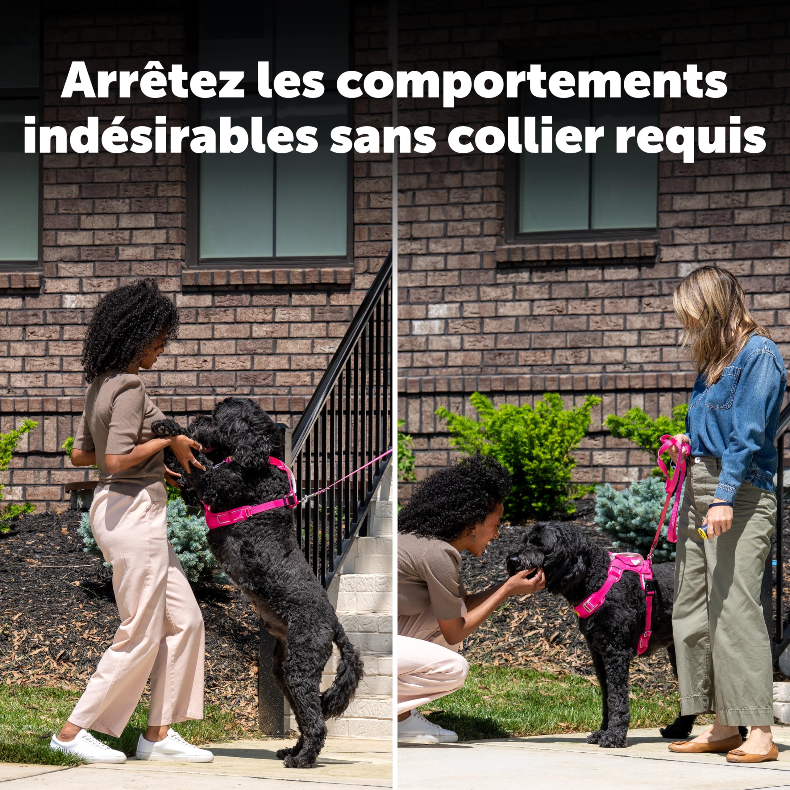 PetSafe Dispositif d'éducation à Ultrason sans Collier