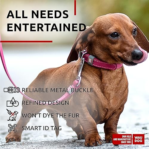 Miniatura 4 de WAUDOG Collar de cuero de larga duración para perros grandes, medianos y pequeños  Collares clásicos ajustables para cachorros de raza grande