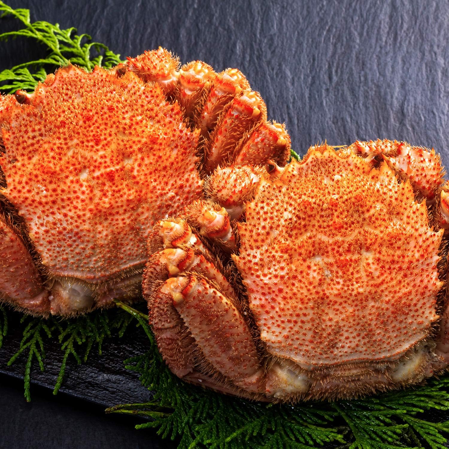 プラクルアン 愛らしい九尾の狐 ジンジョークカオハン 超レア 魅力 プラクルアン 愛らしい九尾の狐 ジンジョークカオハン 超レア 魅力