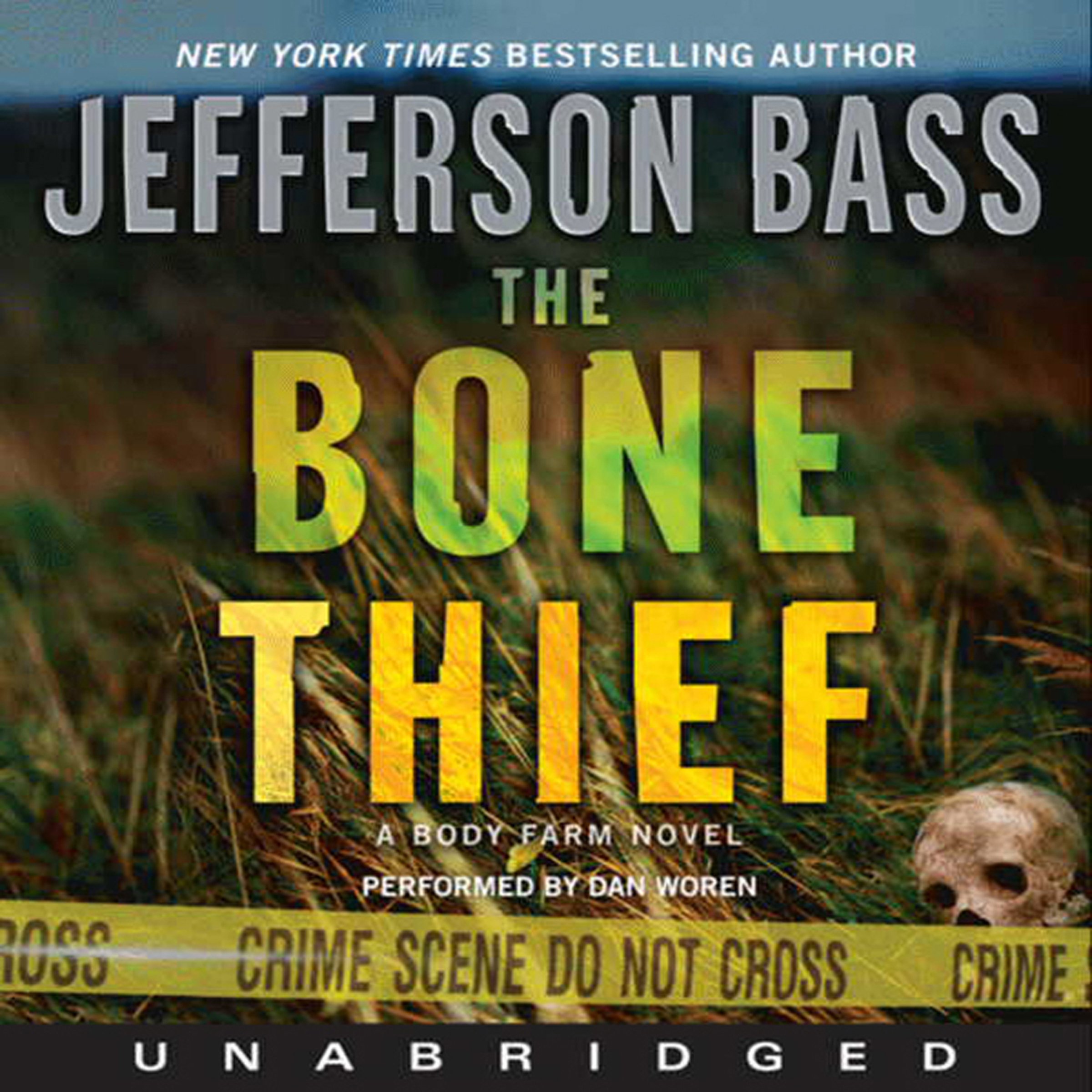 Cover art for The Bone Thief