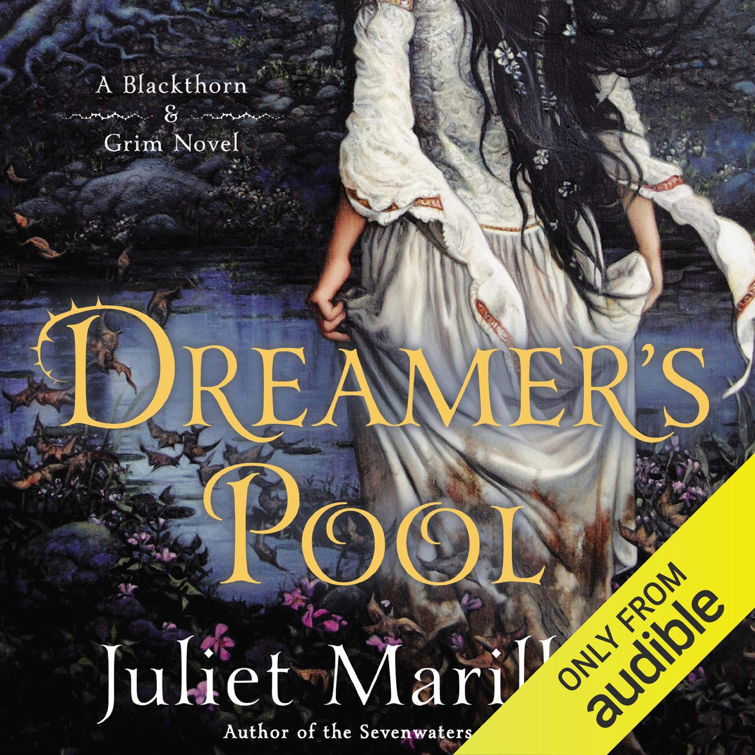 Cover art for Dreamer's Pool