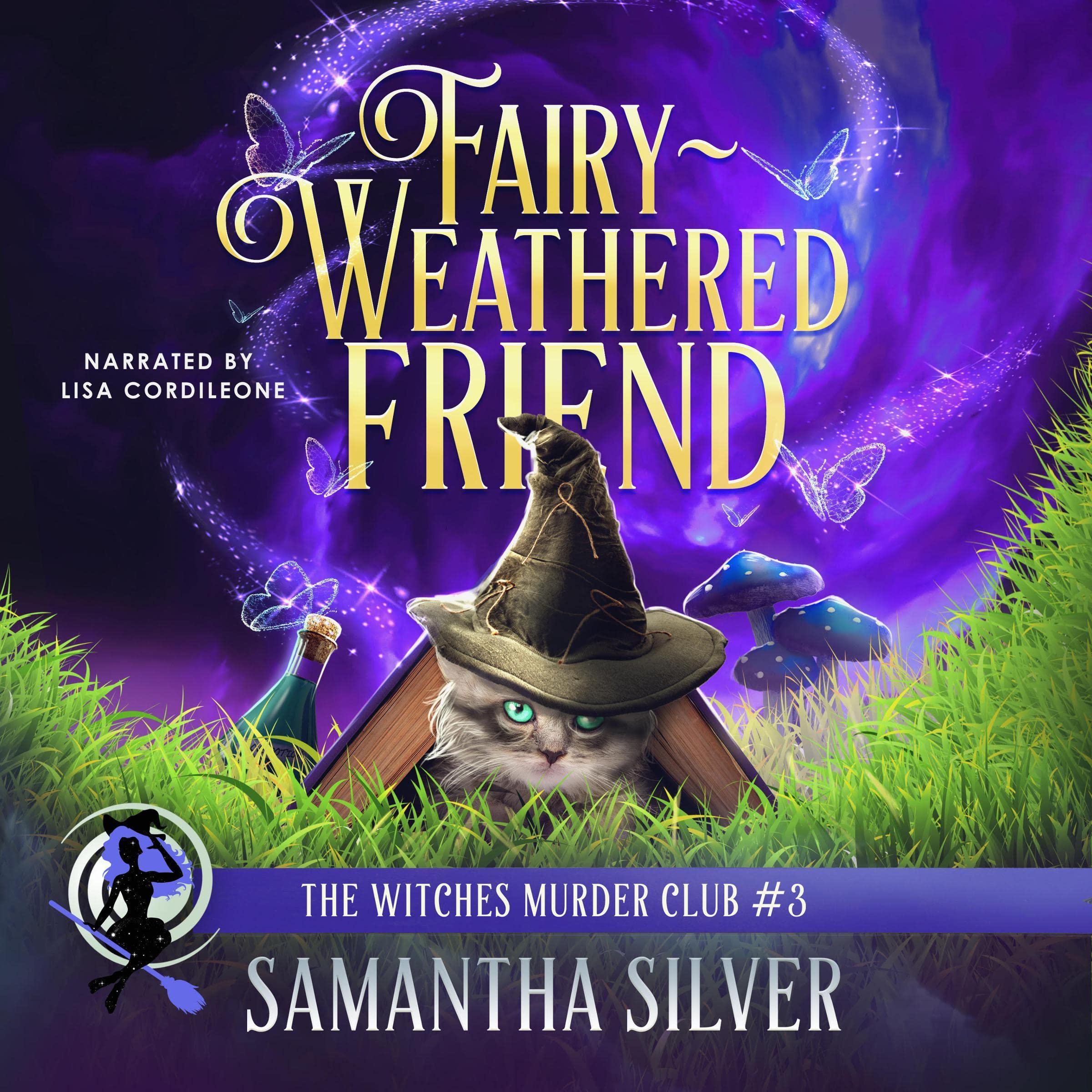 Cover art for Fairy-Weathered Friend