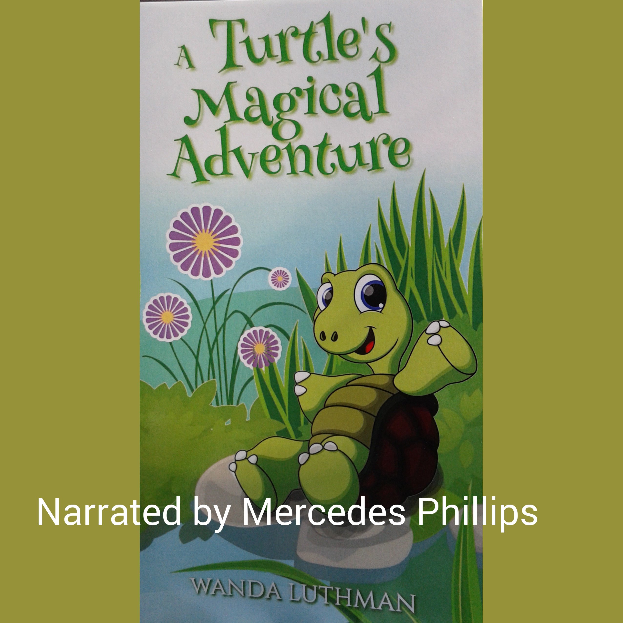 Cover art for A Turtle's Magical Adventure