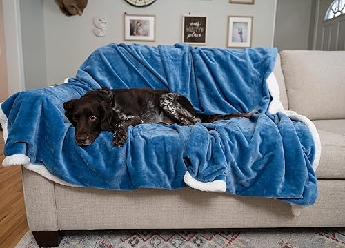 Miniatura 3 de MyPillow Manta para mascotas grande, azul