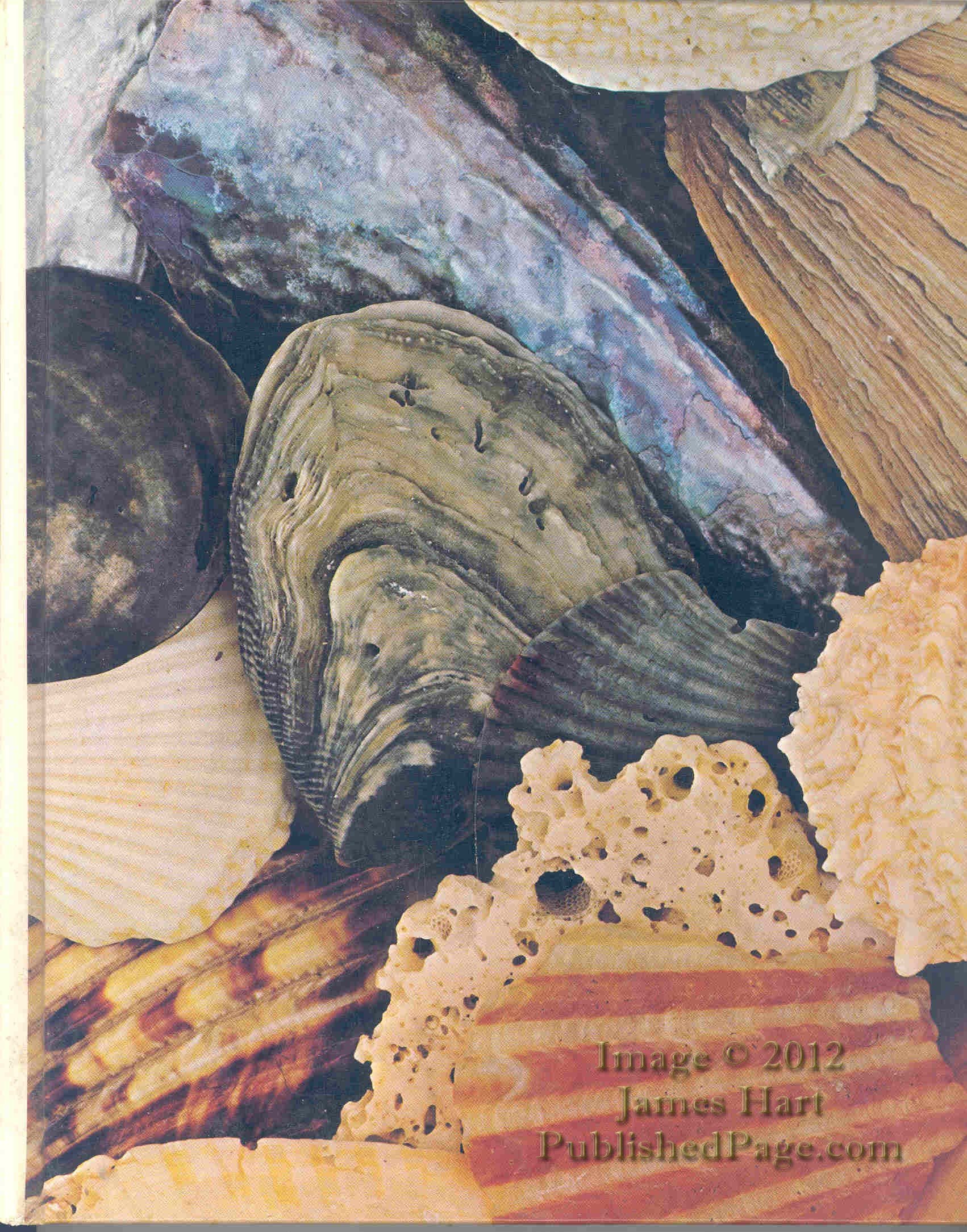 The Family Creative Workshop (Volume 16)