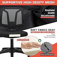 Vista 6 de VigorPow Armless Mesh Office Chair Ergonomic Swivel Black Small Computer Desk Chair No Arms with Lumbar Support Height Adjustable Task Chair for